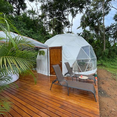 La Comarca River Glamping Dome Near Manuel Antonio Exteriör bild