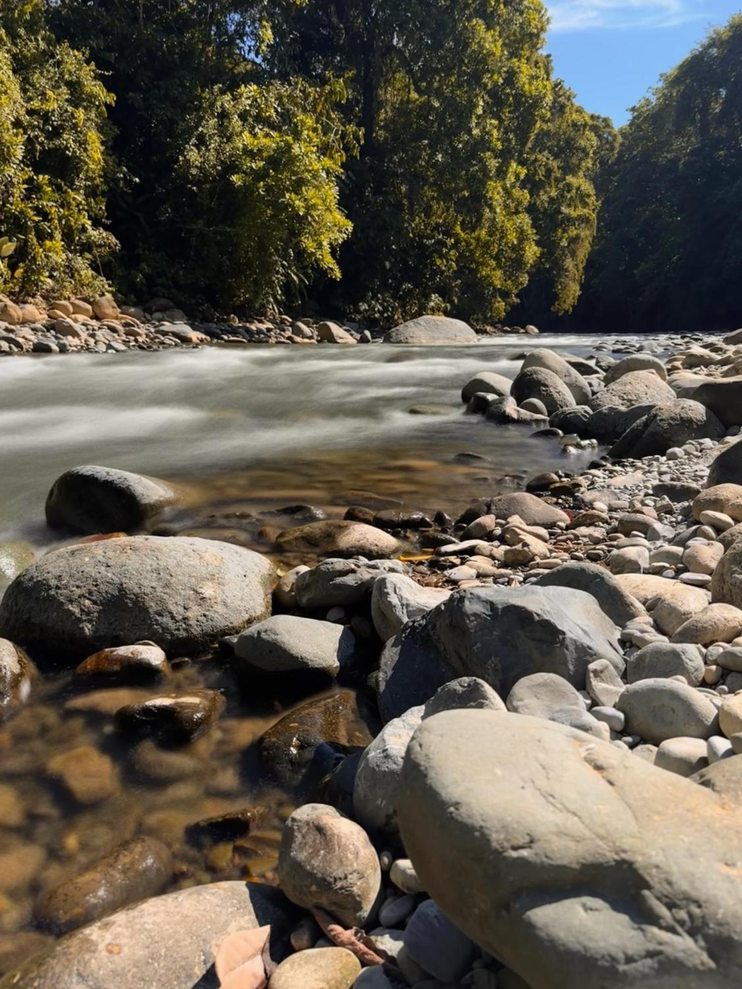 La Comarca River Glamping Dome Near Manuel Antonio Exteriör bild